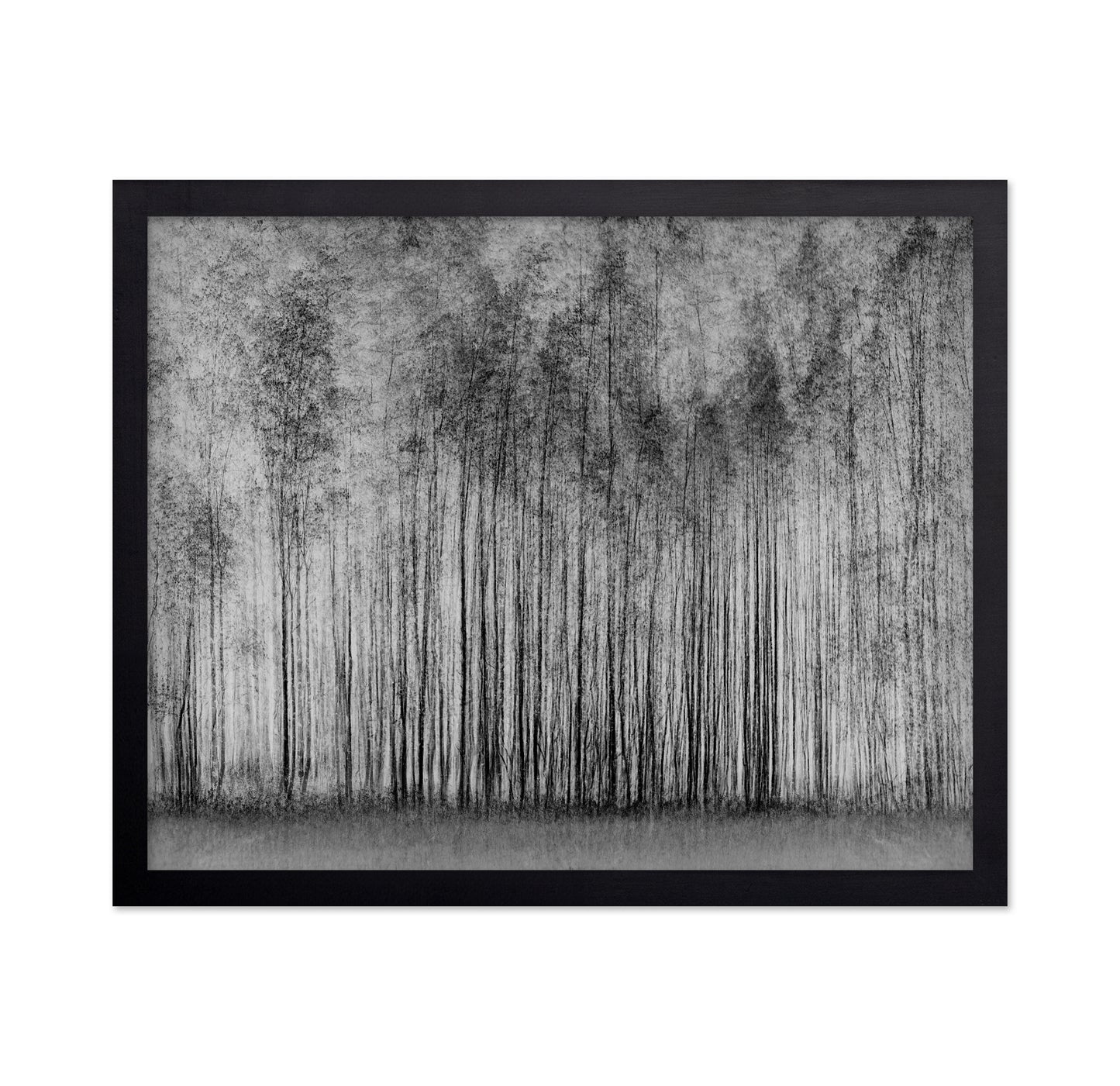 Dense Forest Lines