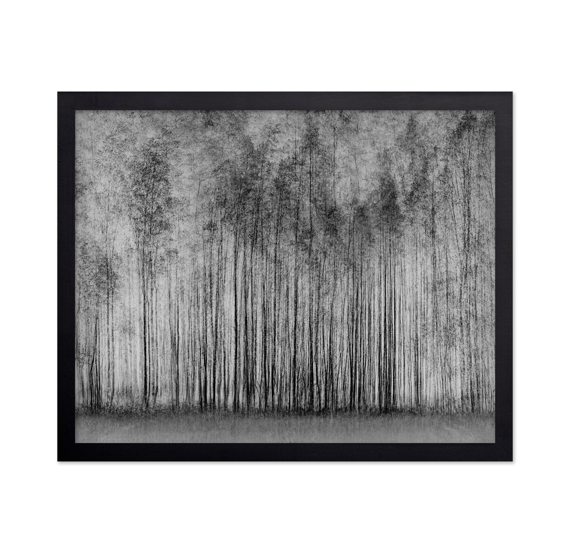 Dense Forest Lines
