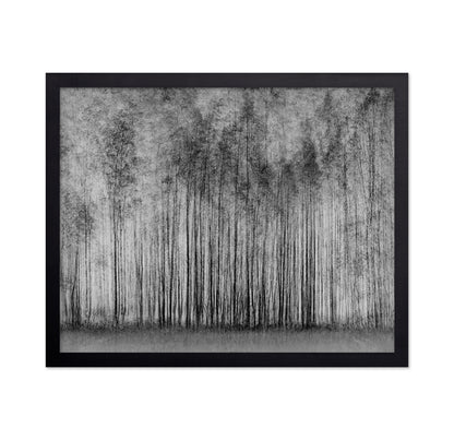 Dense Forest Lines