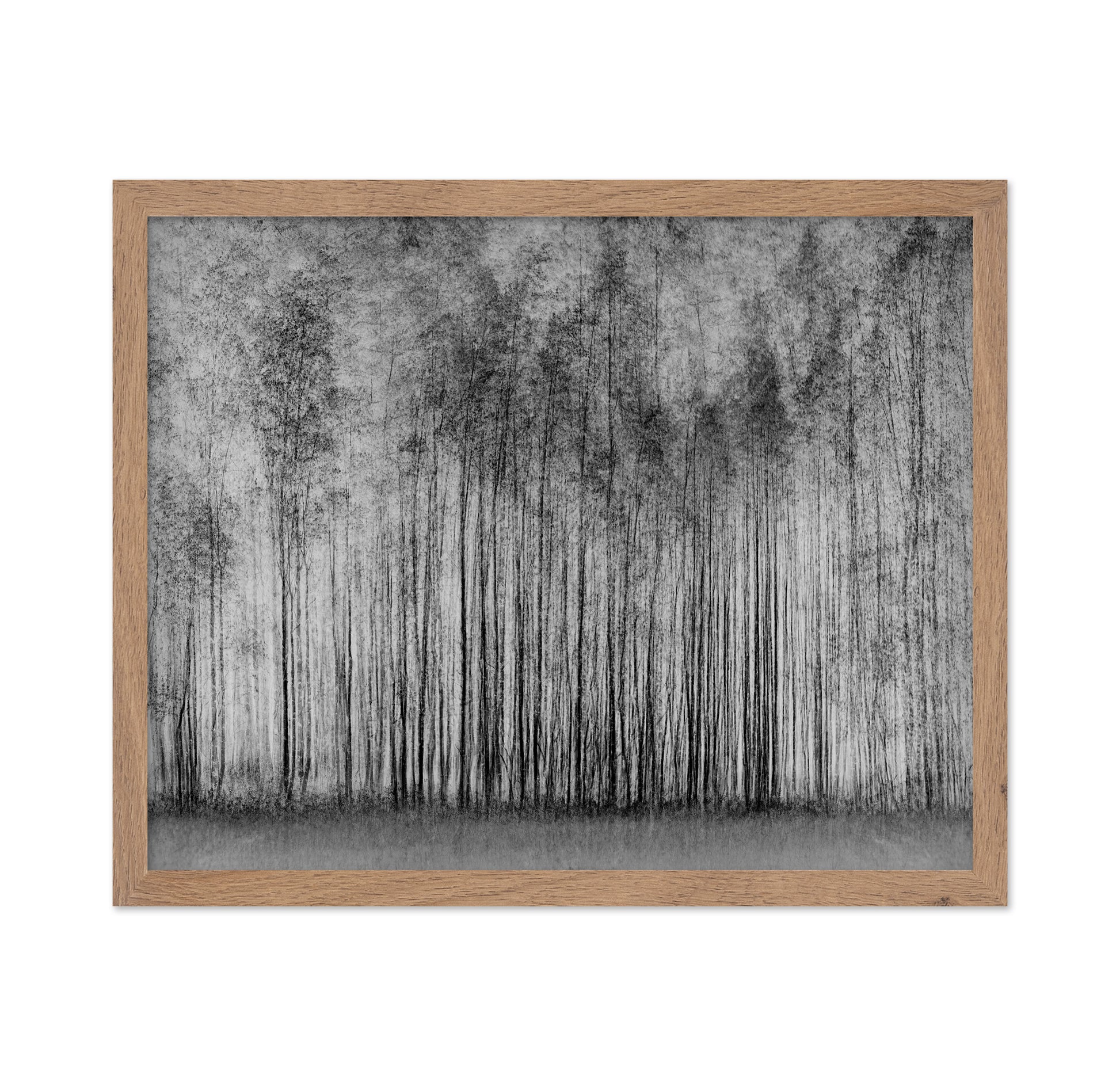 Dense Forest Lines