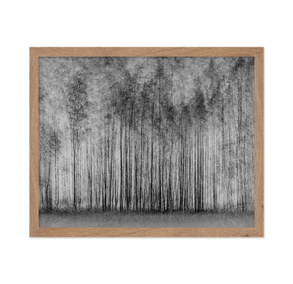 Dense Forest Lines