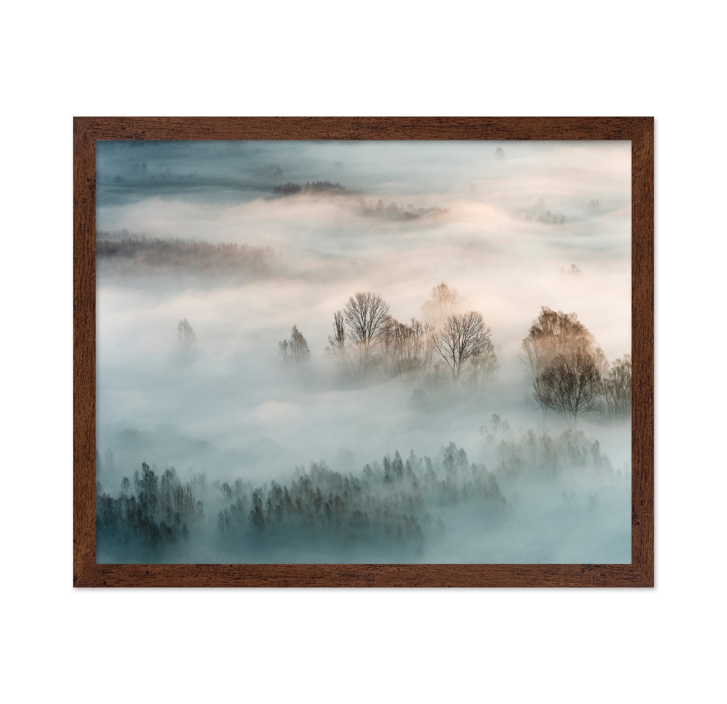 Misty Winter Trees