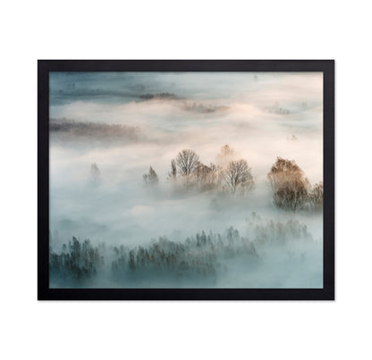 Misty Winter Trees