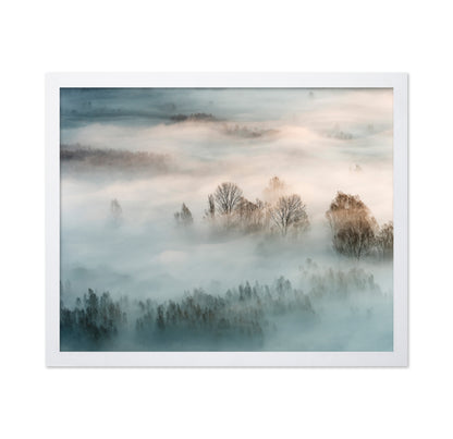 Misty Winter Trees
