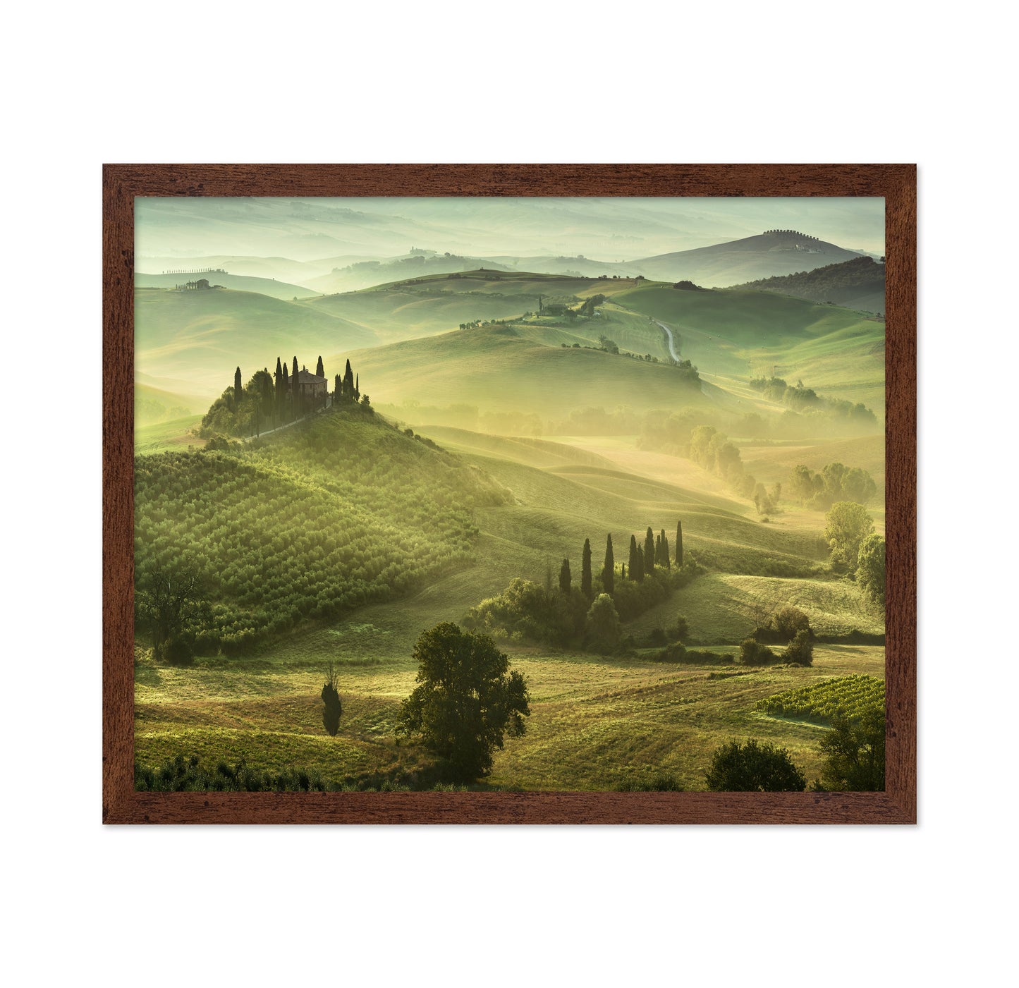 Tuscan Rolling Hills