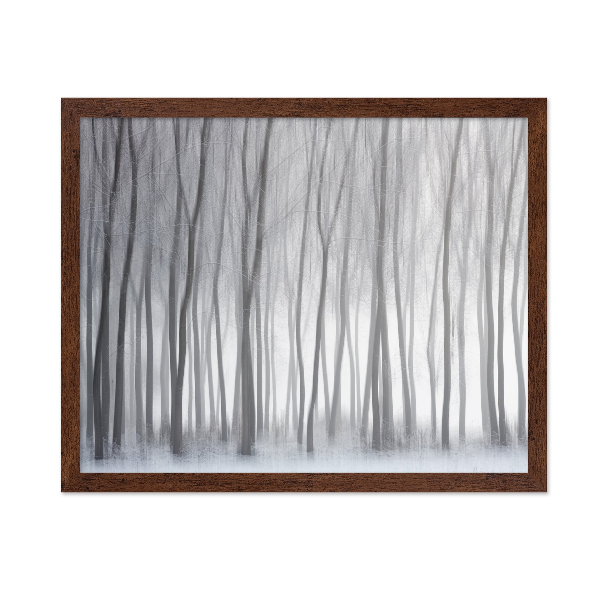 Winter Forest Lines