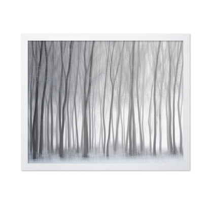 Winter Forest Lines