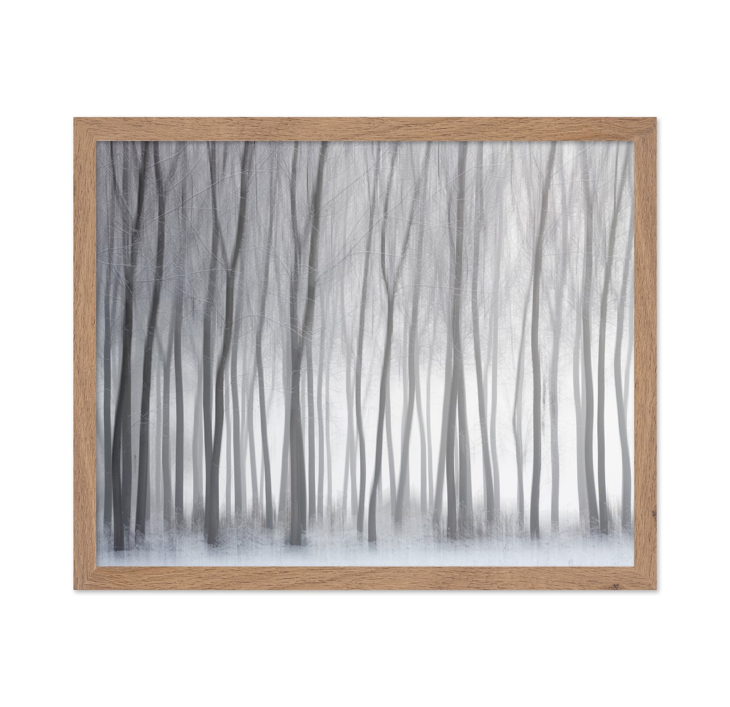 Winter Forest Lines