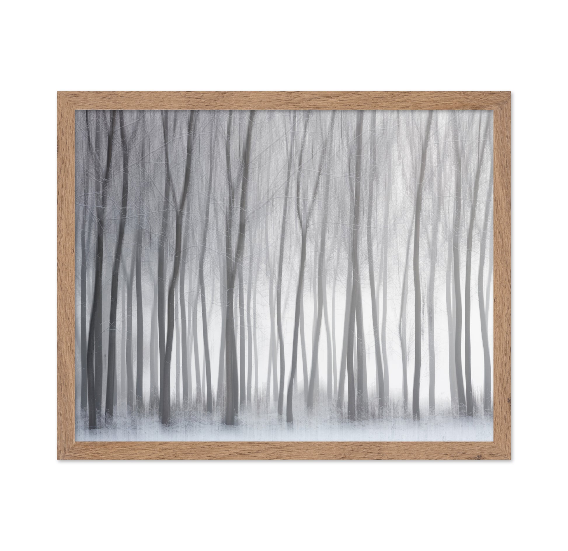 Winter Forest Lines