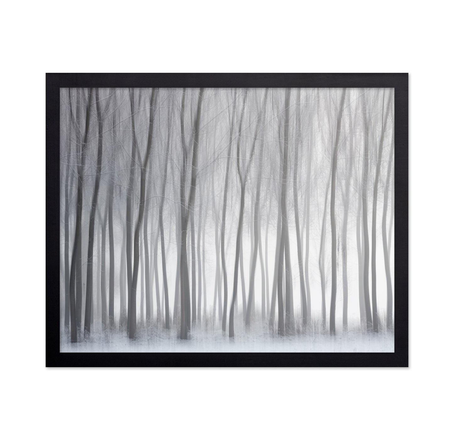 Winter Forest Lines