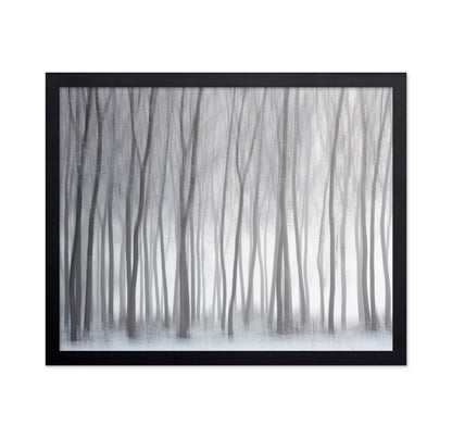 Winter Forest Lines