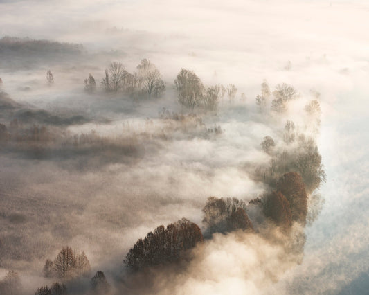 Foggy Landscape Layers
