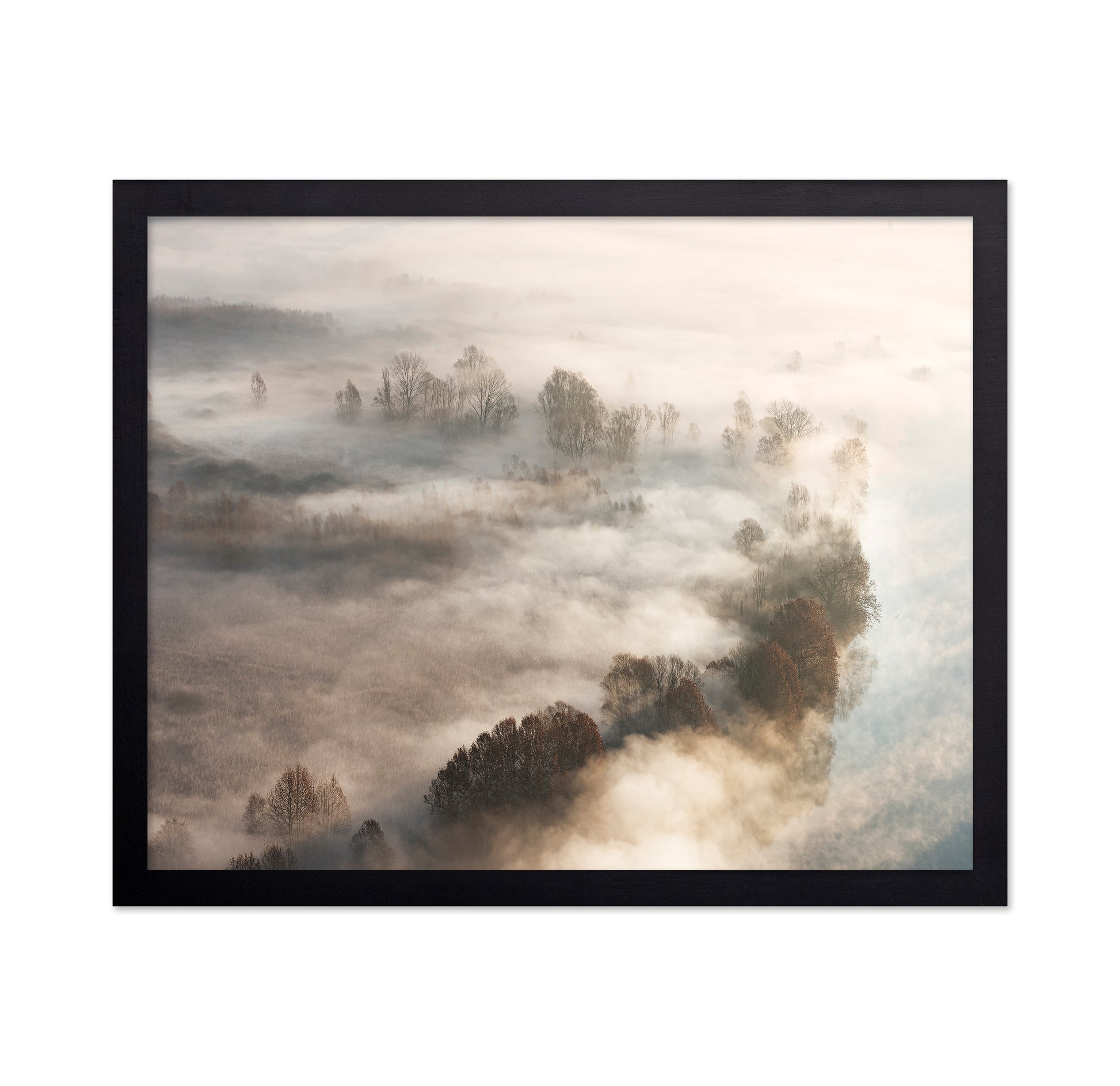 Foggy Landscape Layers