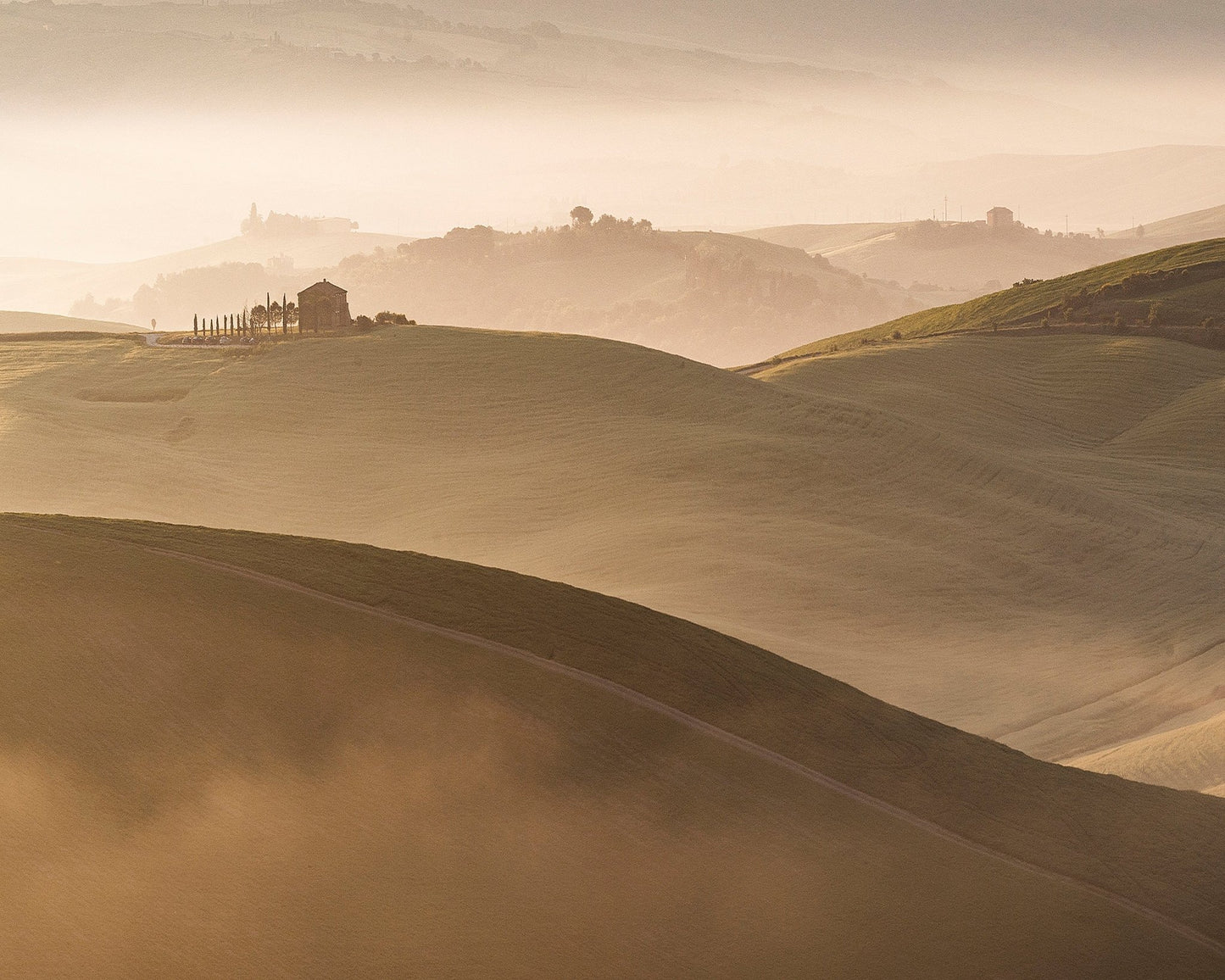 Golden Hills Landscape