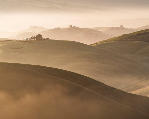 Golden Hills Landscape