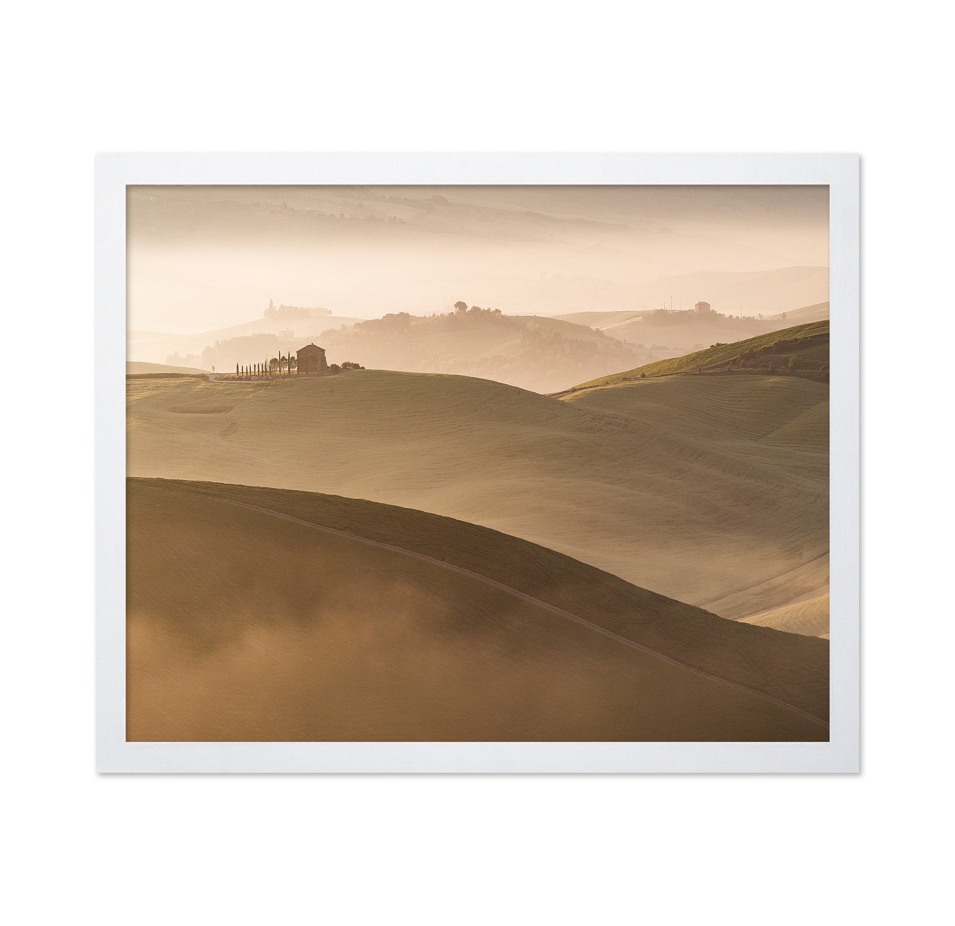 Golden Hills Landscape