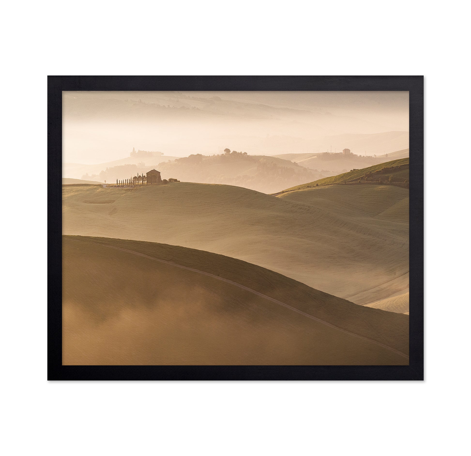 Golden Hills Landscape