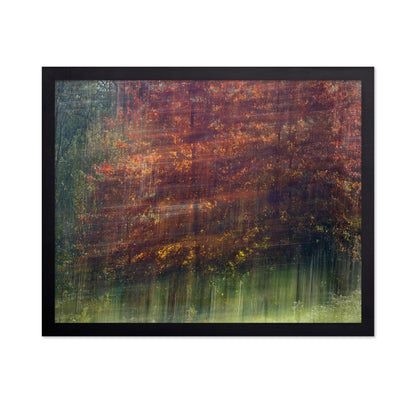Autumn Motion Forest