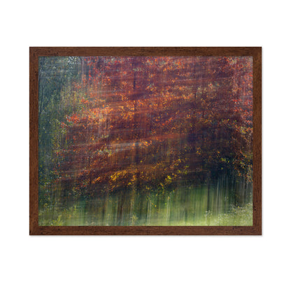 Autumn Motion Forest