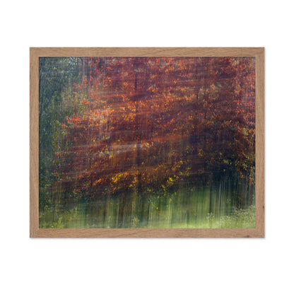 Autumn Motion Forest