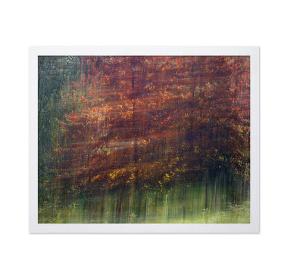 Autumn Motion Forest