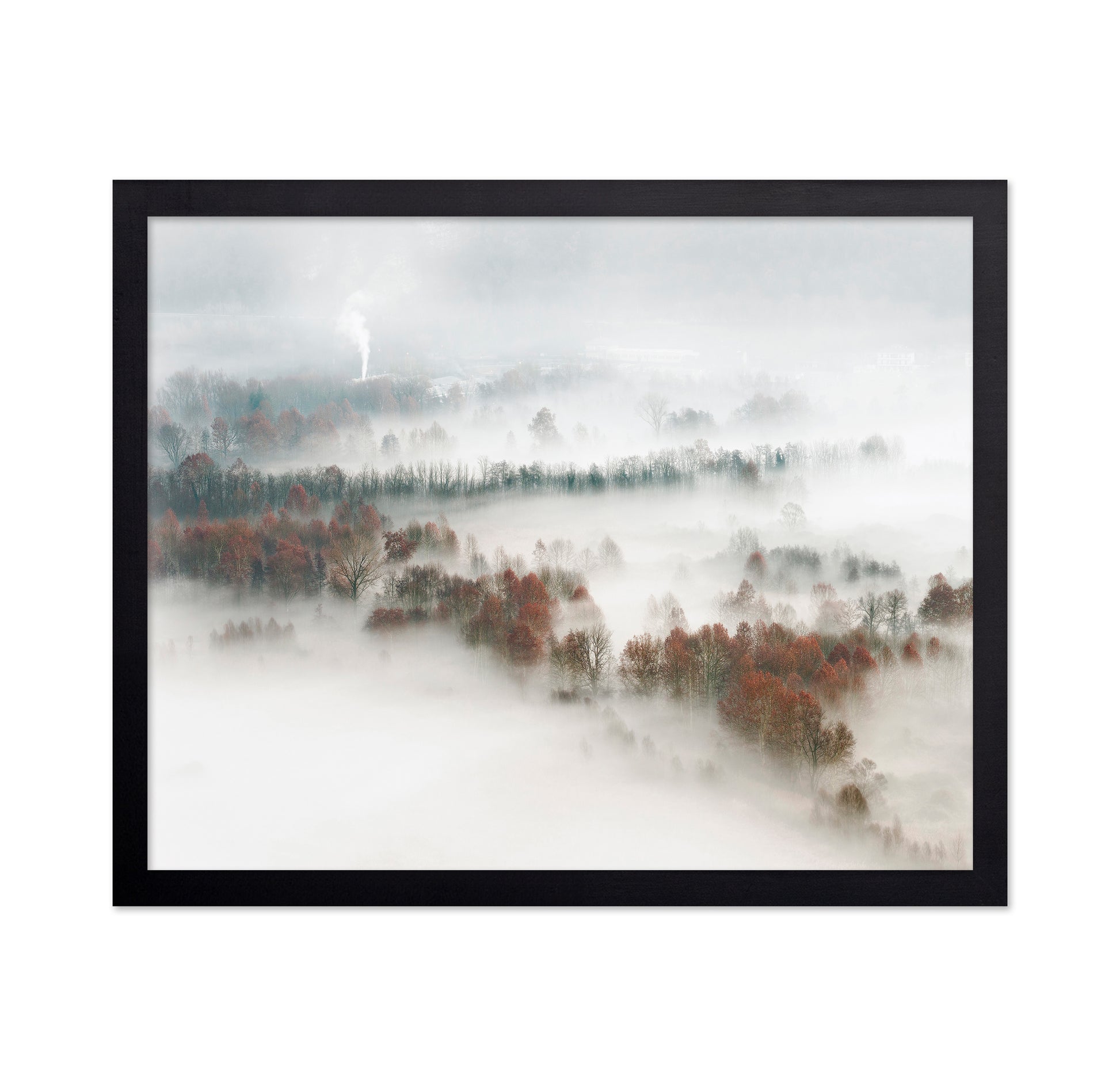 Foggy Forest Landscape with Smoke