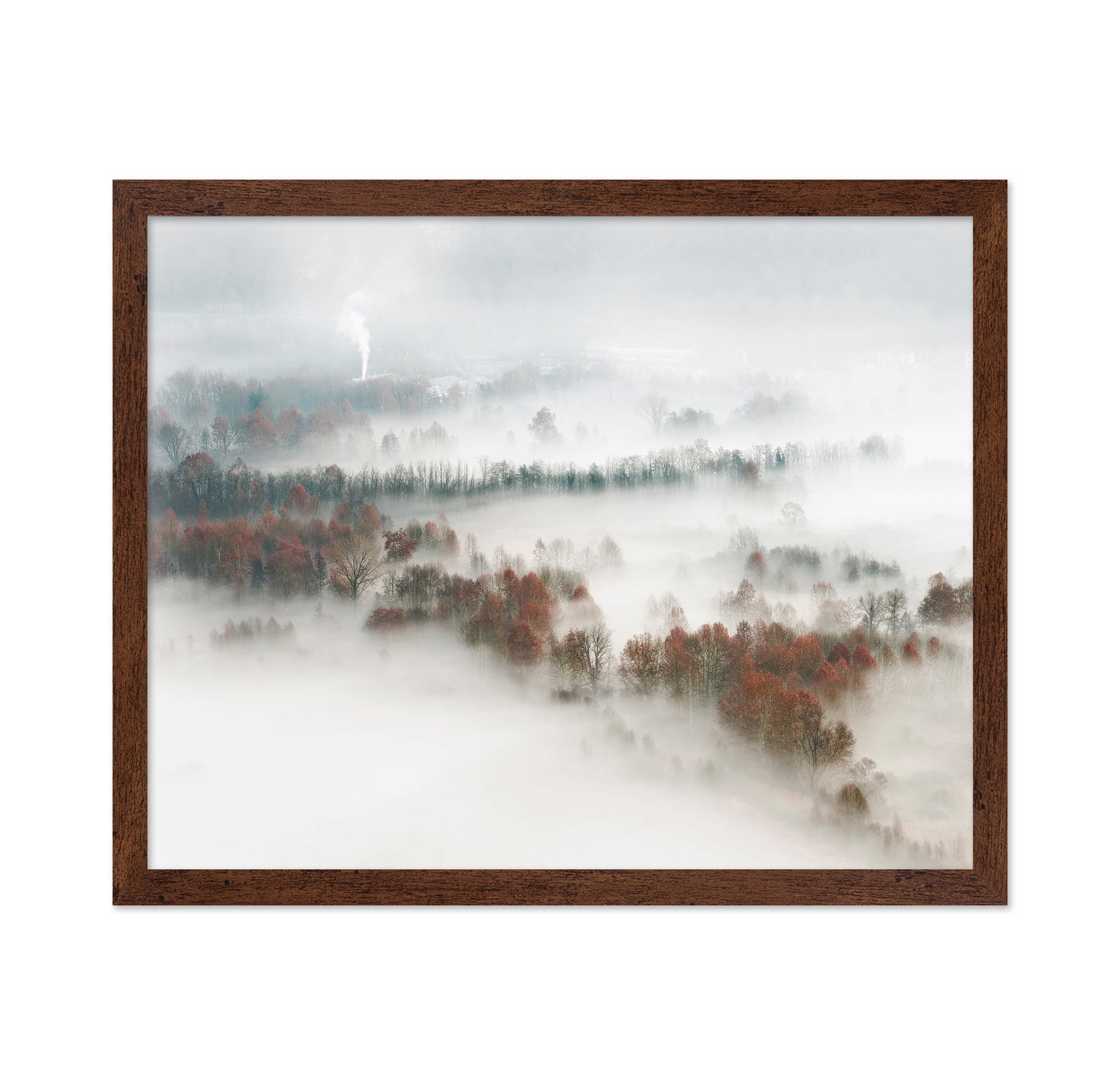 Foggy Forest Landscape with Smoke