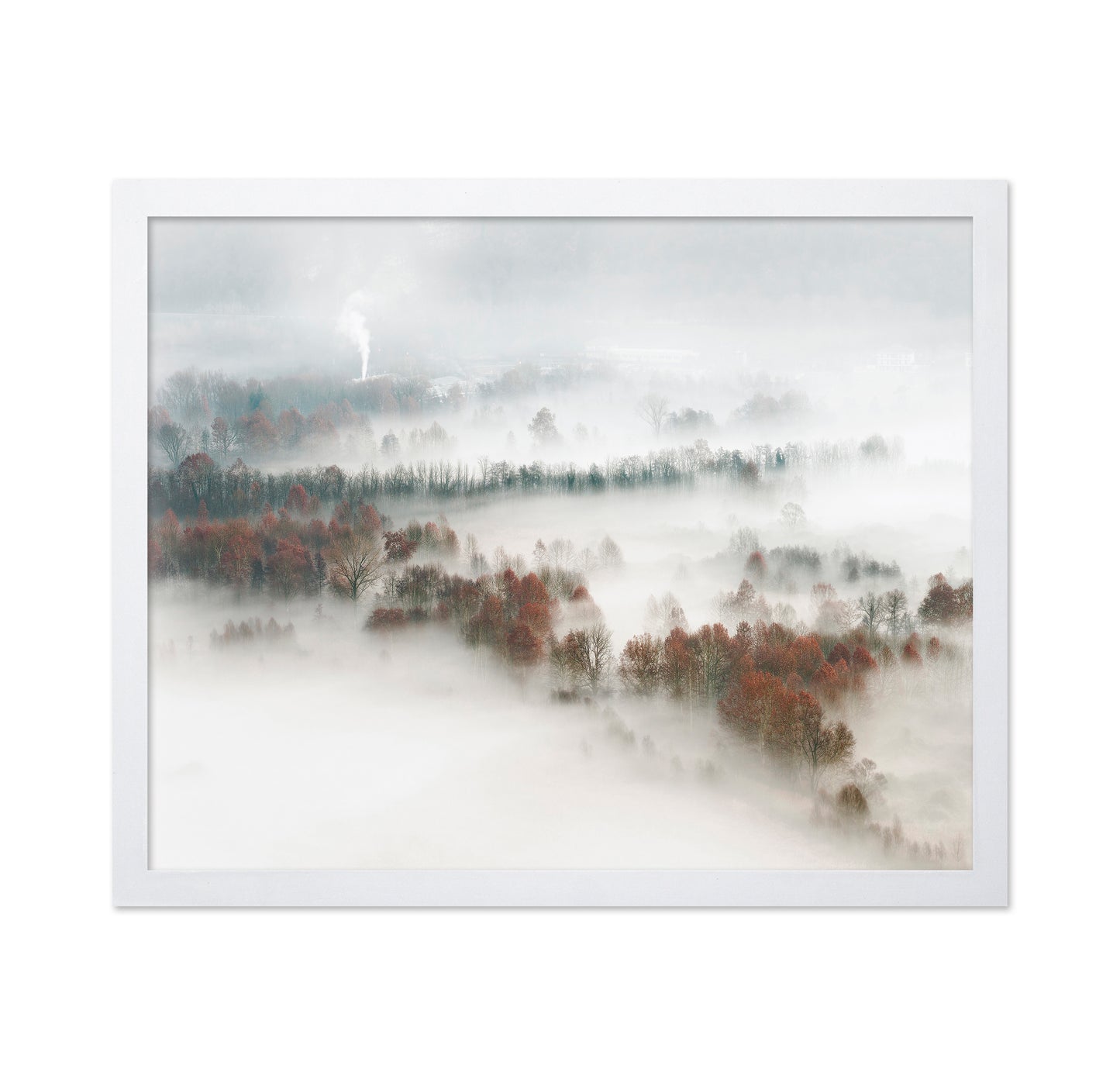 Foggy Forest Landscape with Smoke