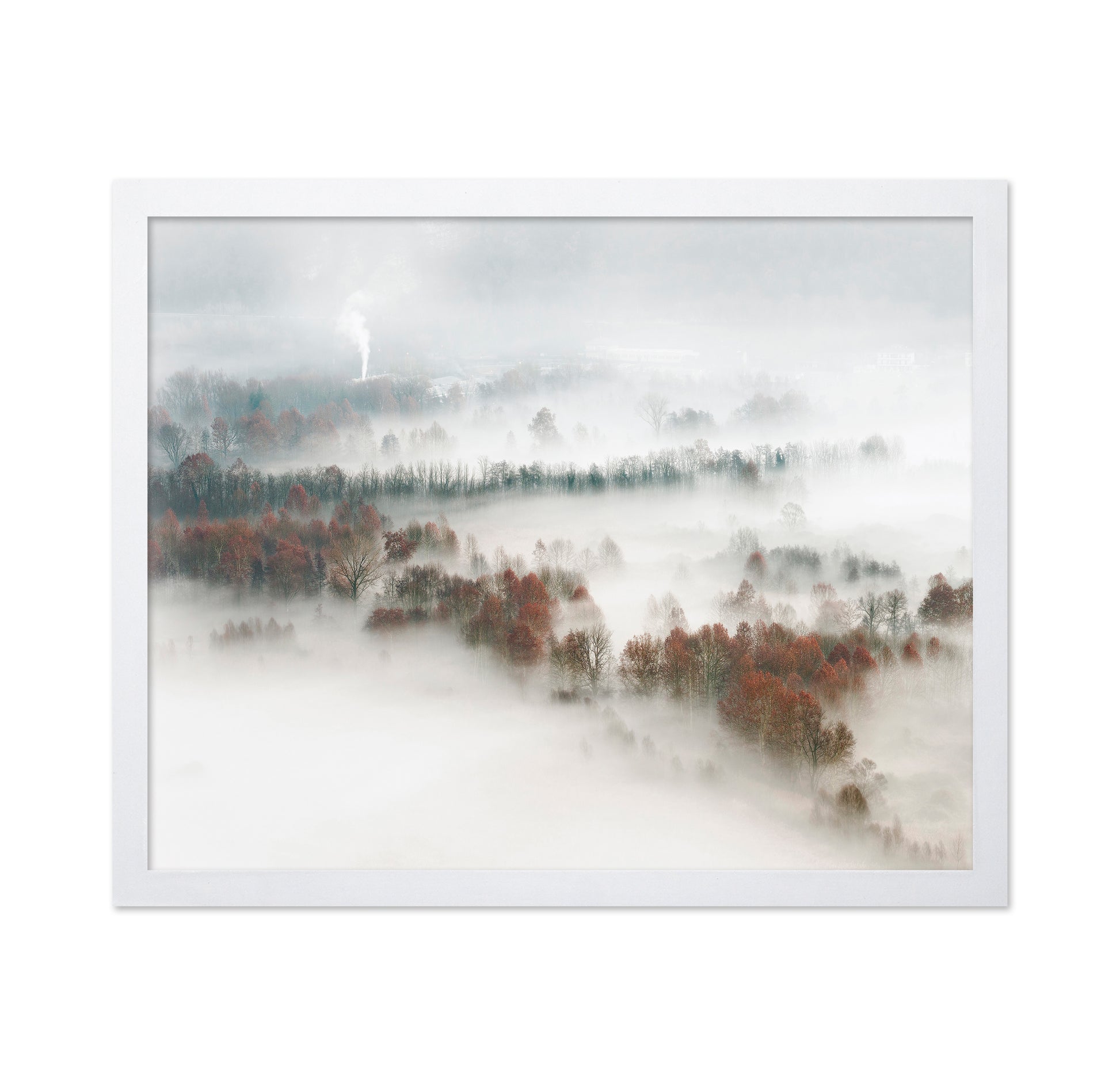 Foggy Forest Landscape with Smoke