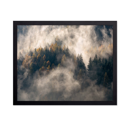 Misty Forest Mountain Trees