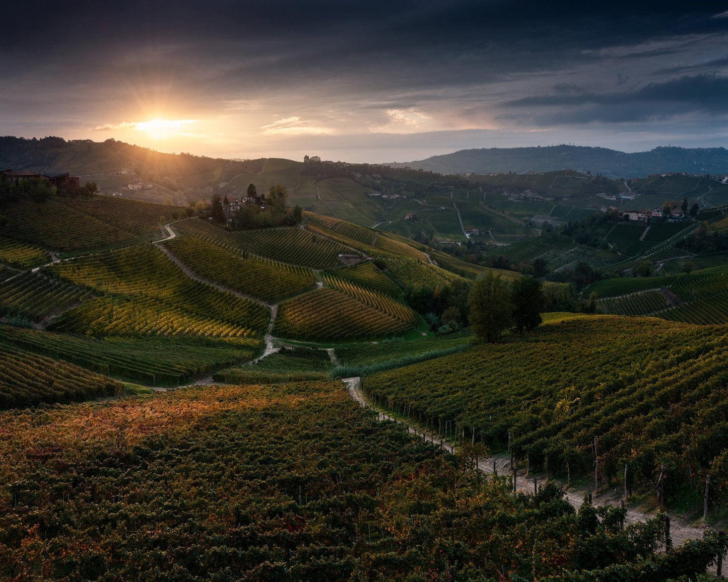 Vineyard Hills at Sunset