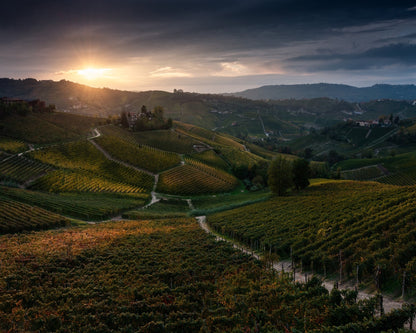 Vineyard Hills at Sunset