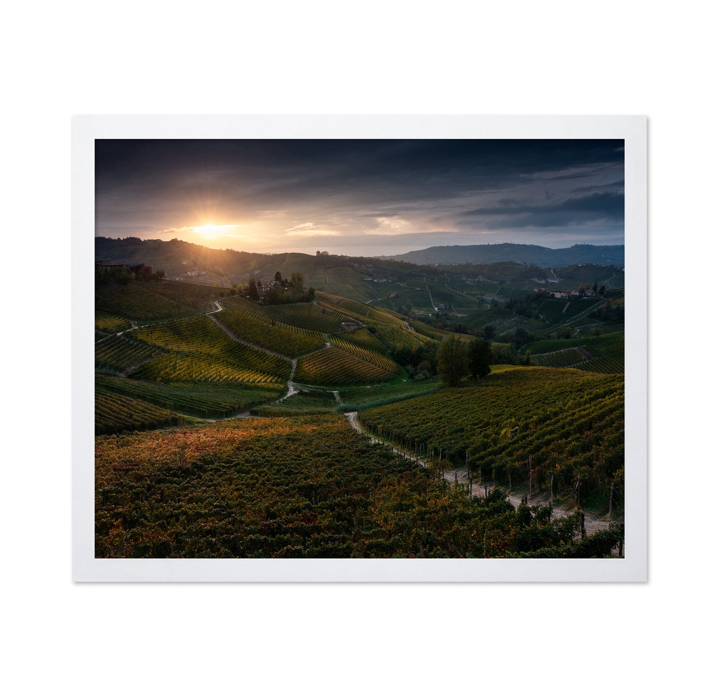 Vineyard Hills at Sunset