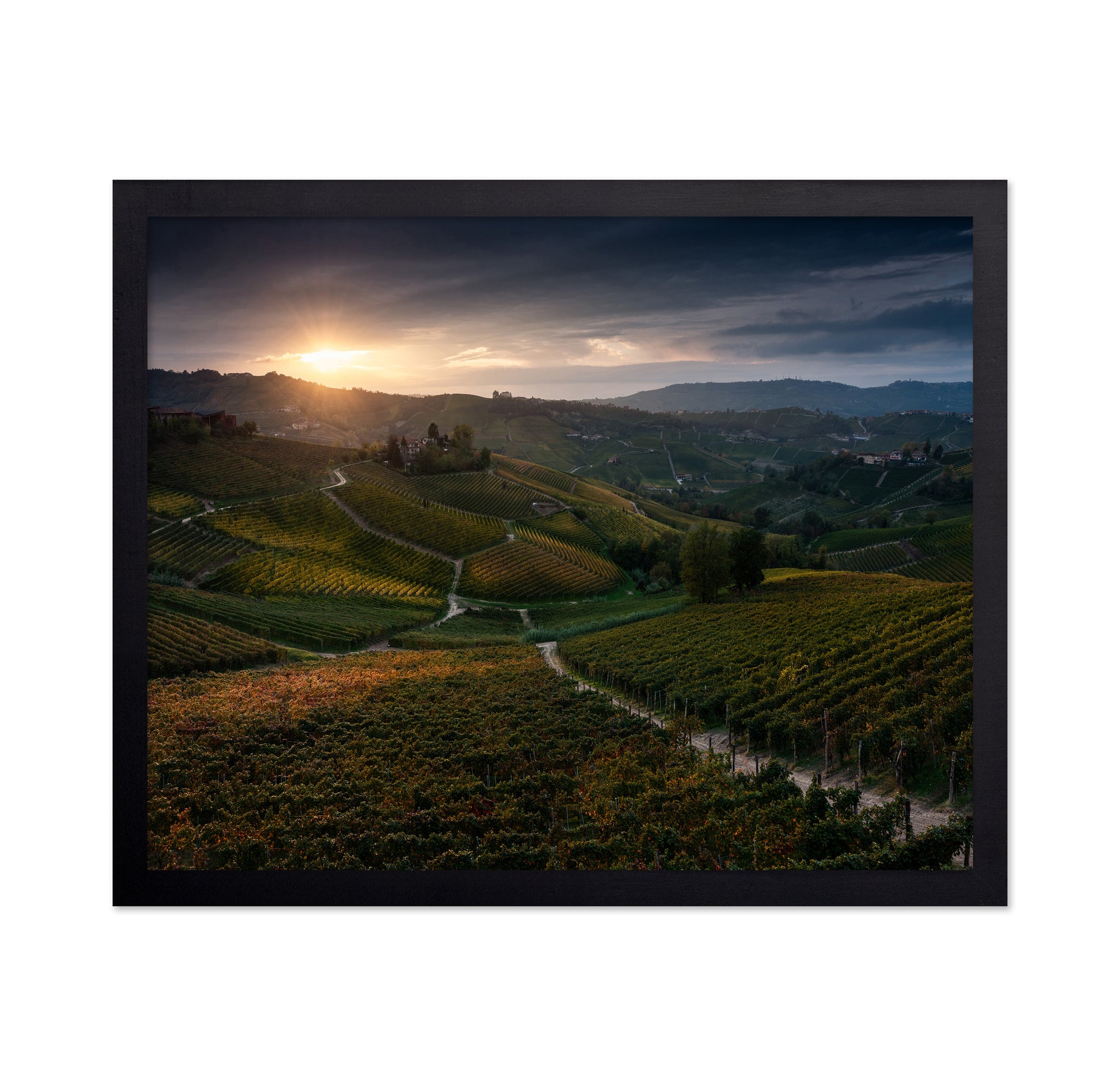 Vineyard Hills at Sunset