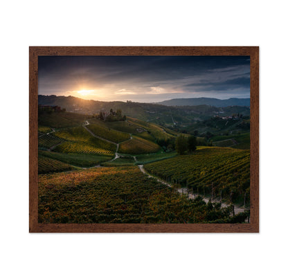 Vineyard Hills at Sunset