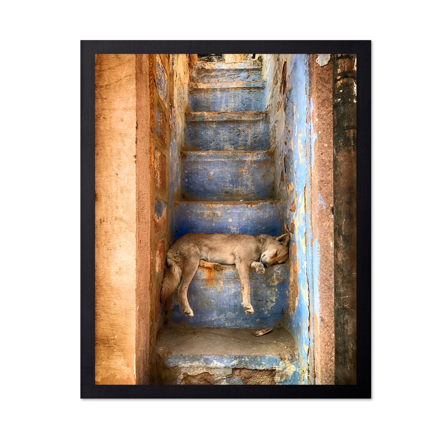 Sleeping Dog on Rustic Stairs