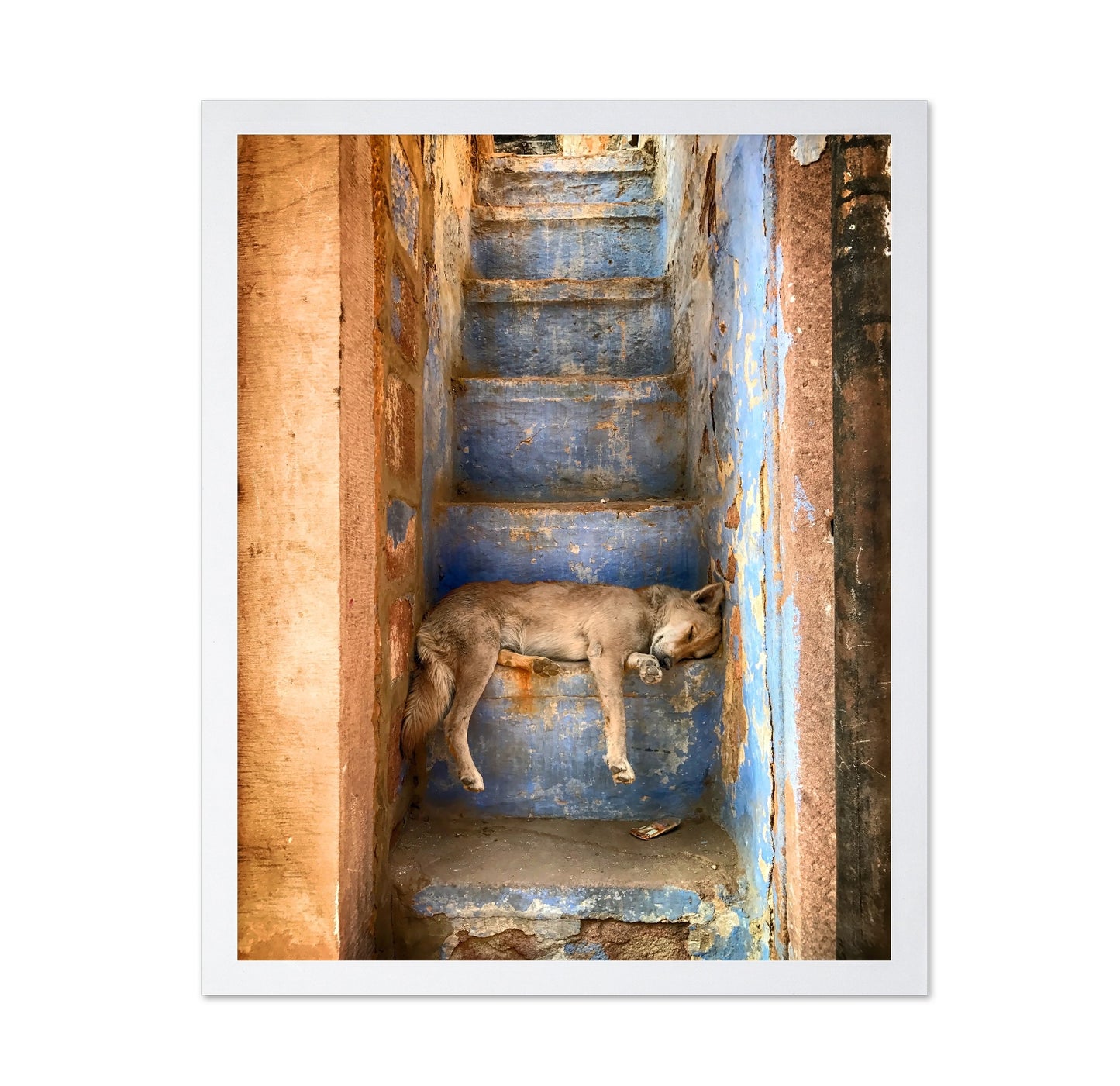 Sleeping Dog on Rustic Stairs