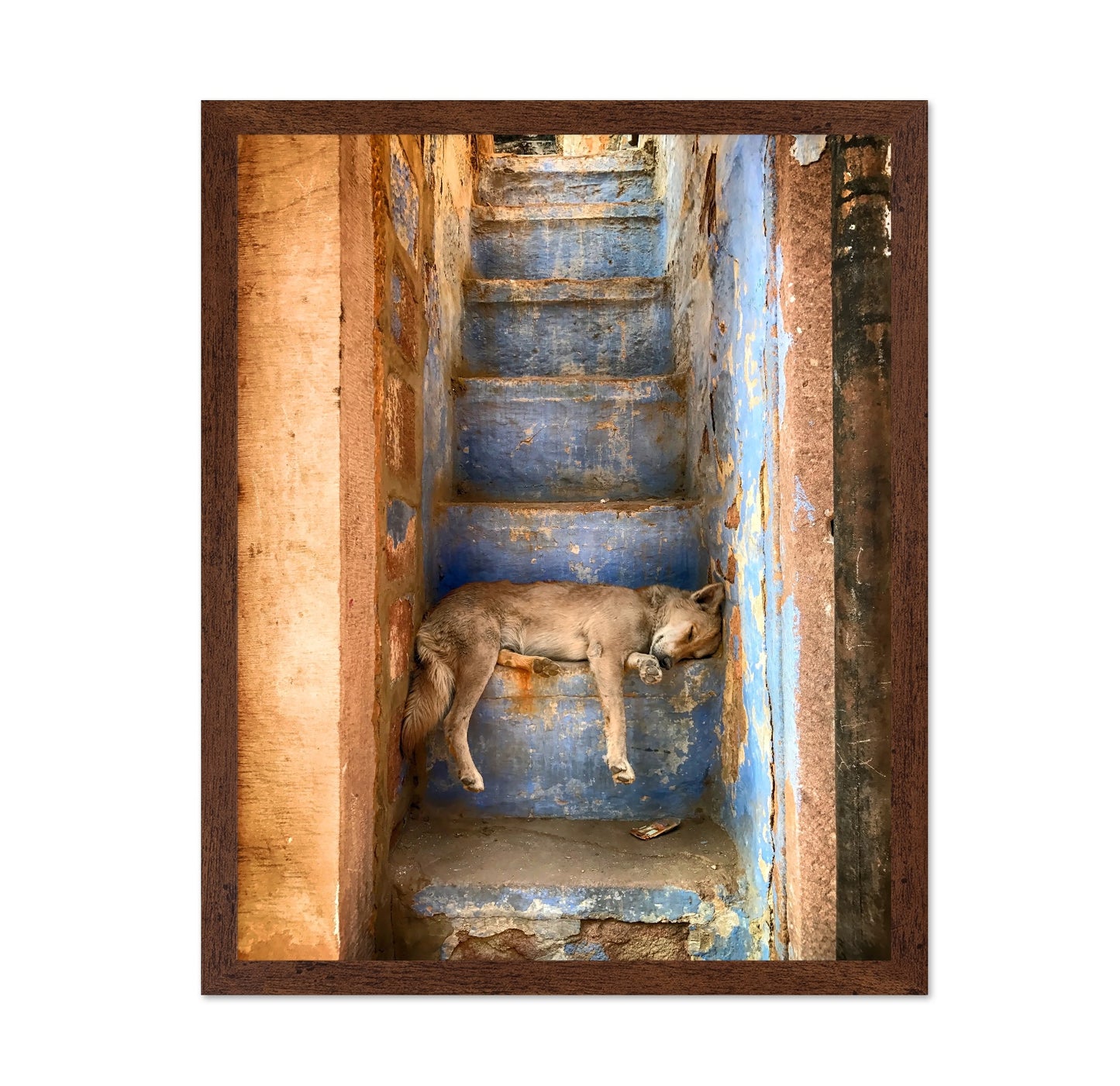 Sleeping Dog on Rustic Stairs