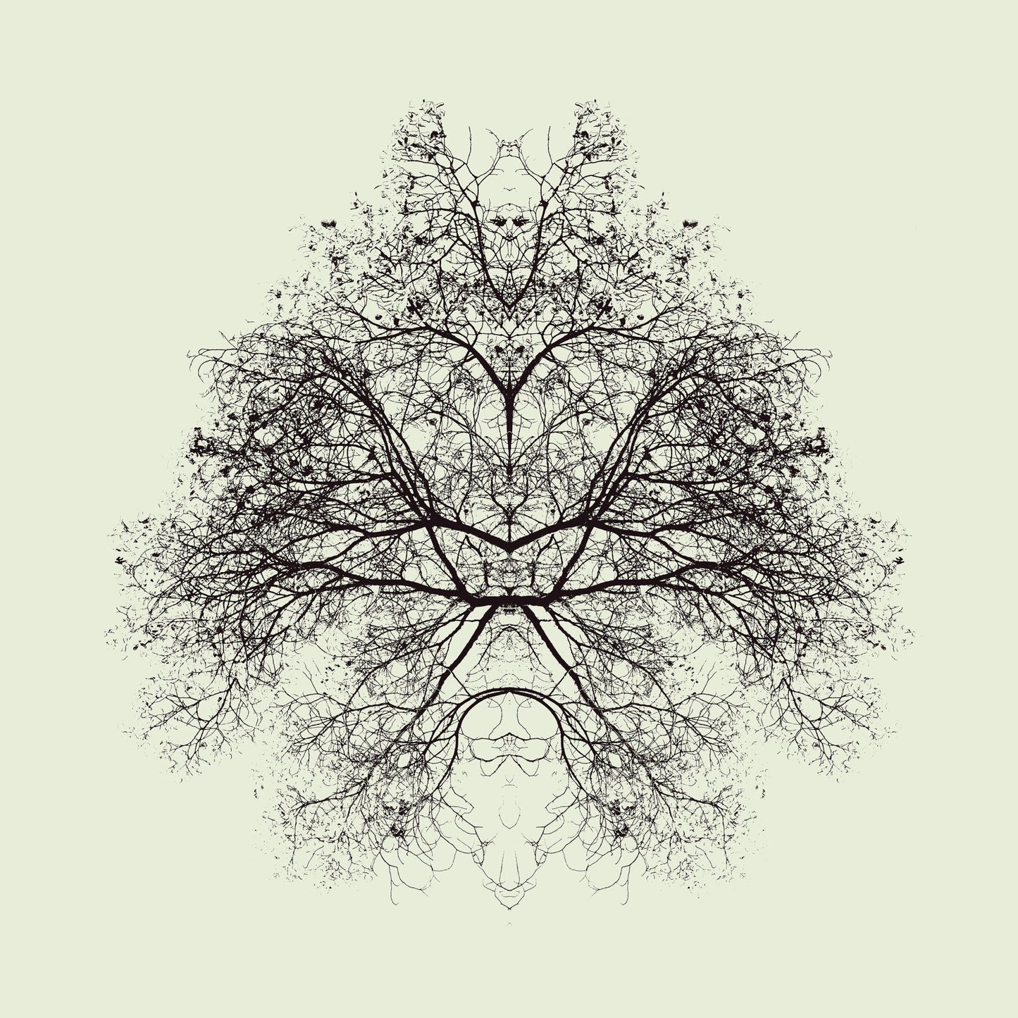 Symmetry Tree Ink