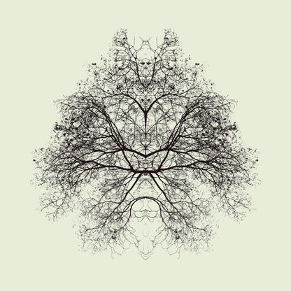 Symmetry Tree Ink
