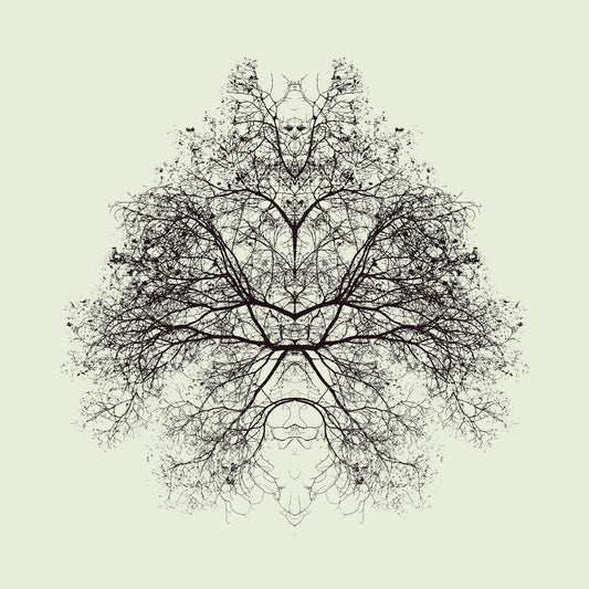 Symmetry Tree Ink