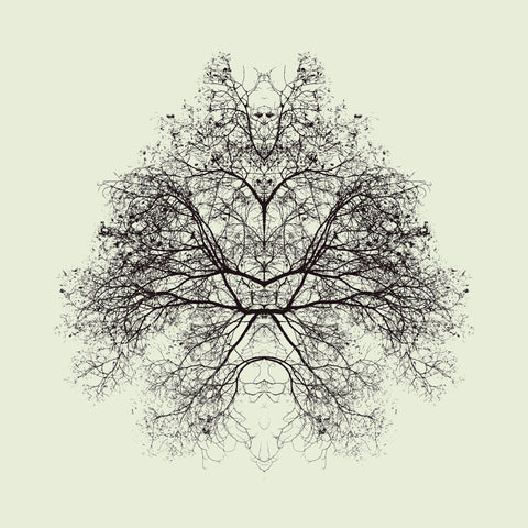 Symmetry Tree Ink