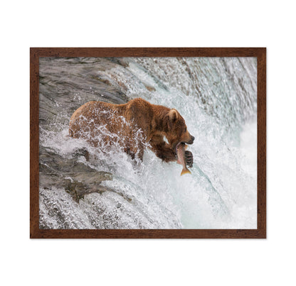 Bear With Fresh Catch