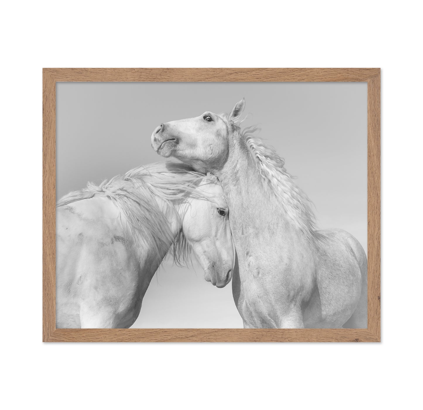Gentle Horse Bond