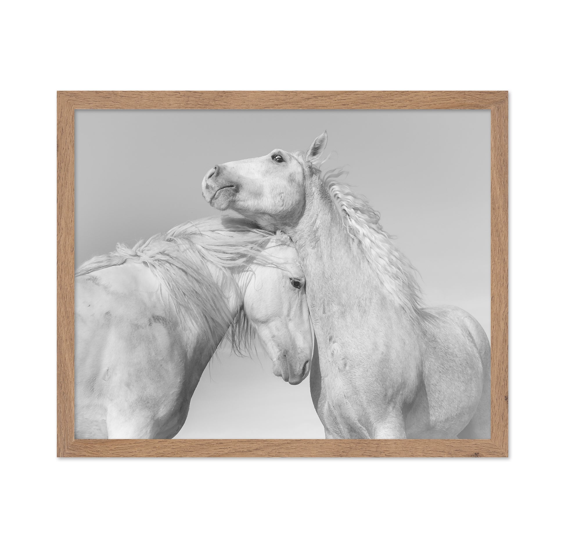 Gentle Horse Bond