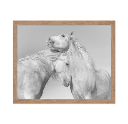 Gentle Horse Bond