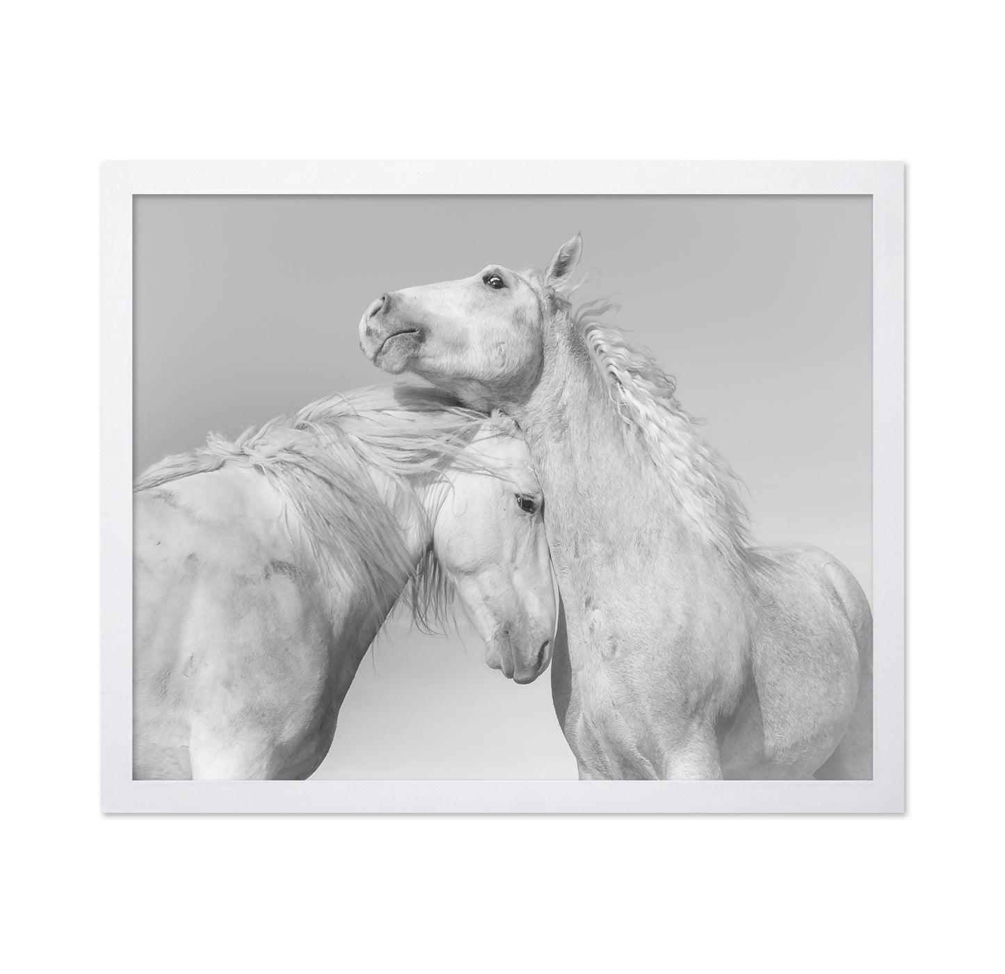 Gentle Horse Bond