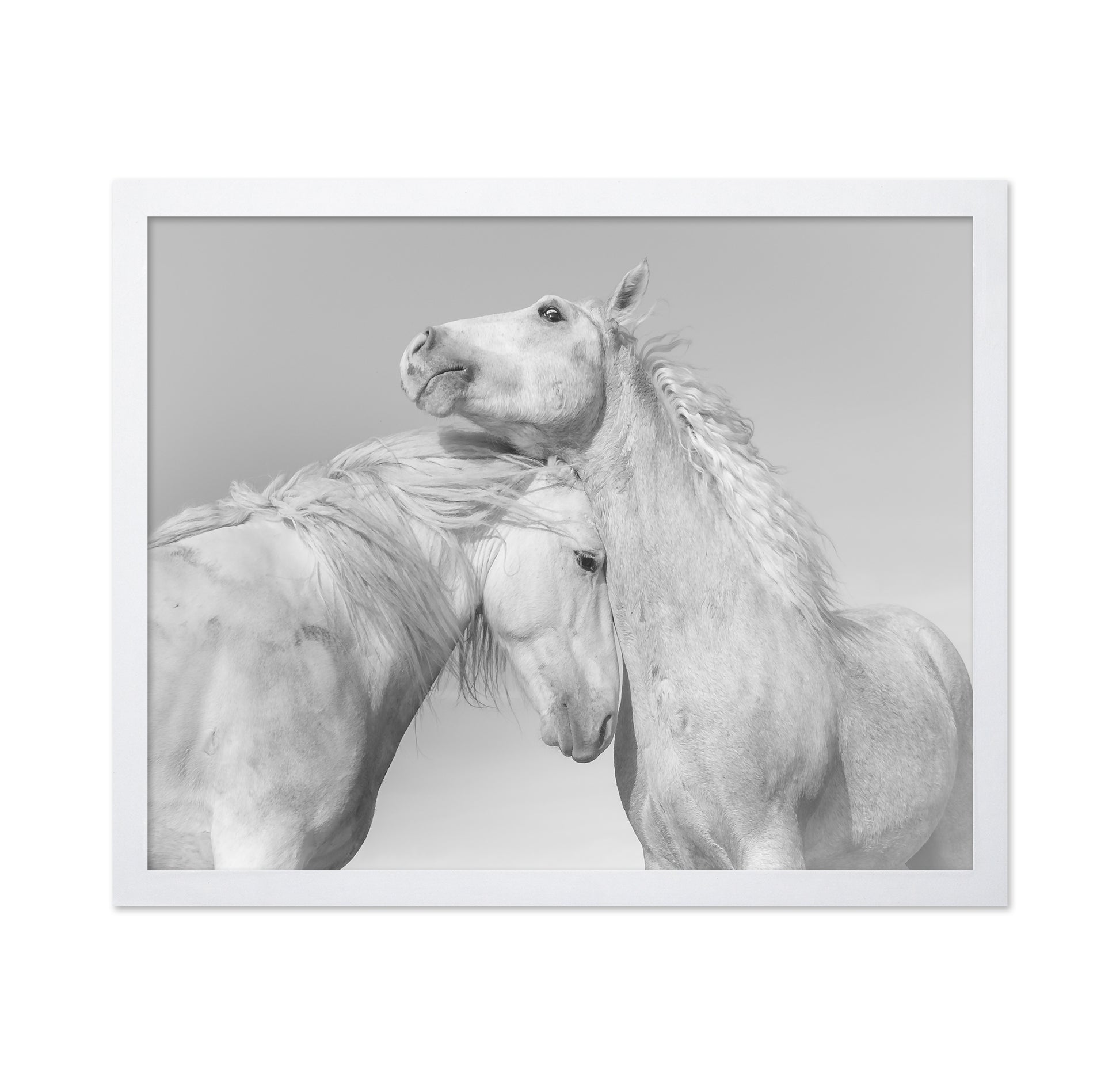 Gentle Horse Bond