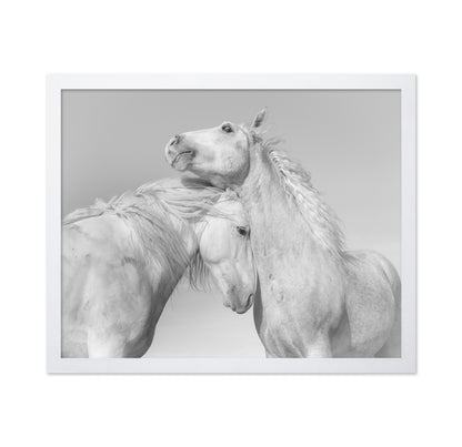 Gentle Horse Bond