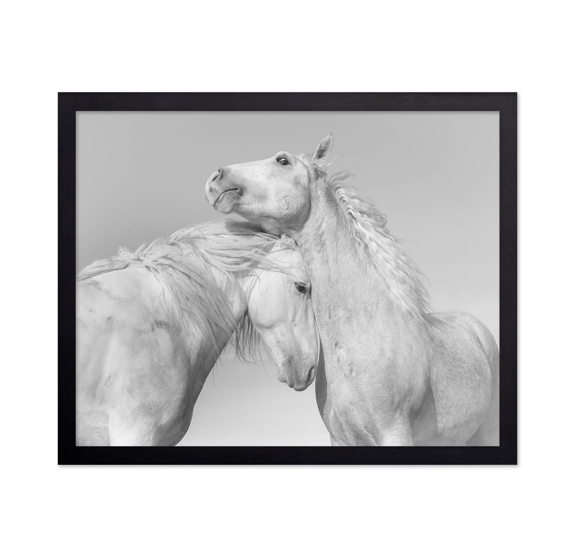 Gentle Horse Bond
